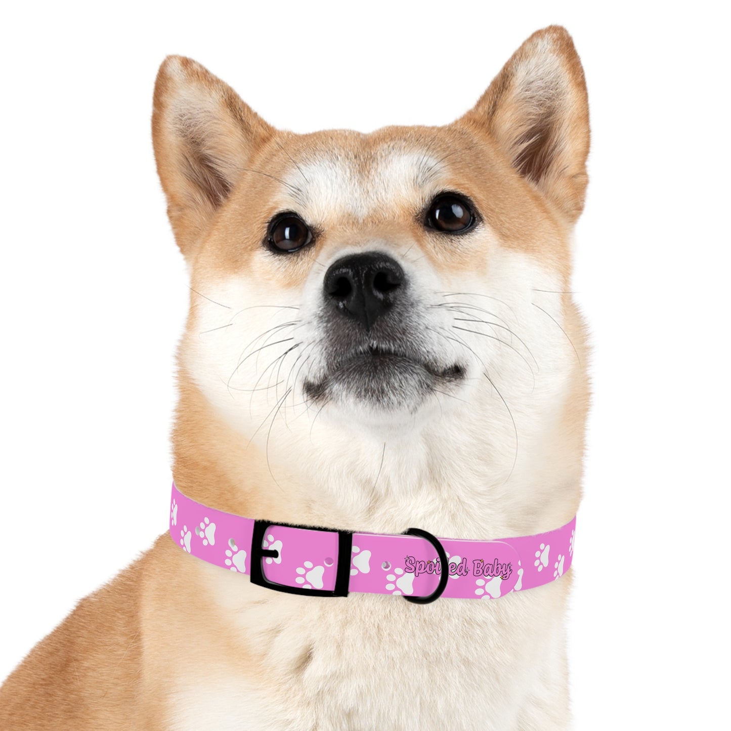 Spoiled Baby Dog Collar